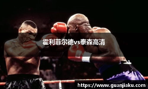 霍利菲尔德vs泰森高清
